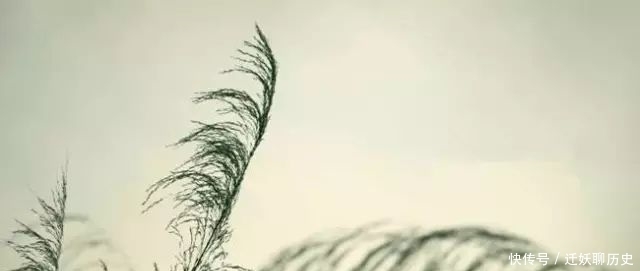 烟雨夜读 澹然方寸内,何不任虚舟