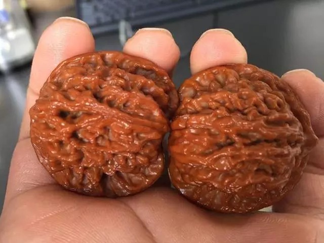 核桃|干手盘出来的核桃,更好看?