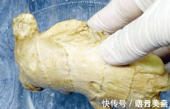 食盐|生姜容易发芽、干瘪?学会3个保存妙招,放一年都仍新鲜,很实用