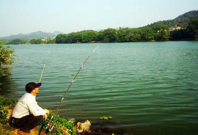 钓友|新手野钓如何找到最佳钓位？按照这个思路来准没错