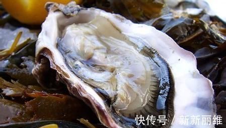 生蚝|前列腺炎的“克星”是它,男人平时常吃,或能让炎症偷偷消失