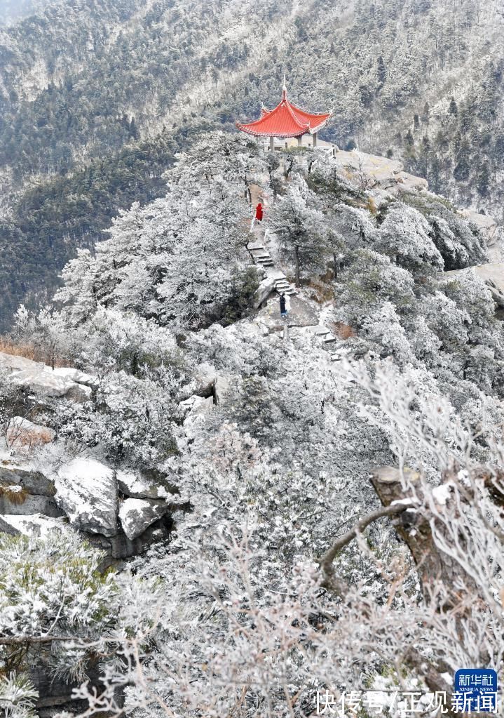 雪景|雪落庐山