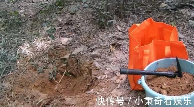 秋天满地的“稀奇宝贝”，不要白不要，捡起来养花，养1盆爆1盆