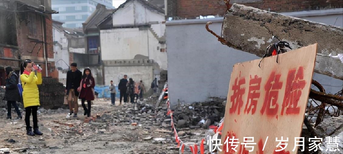 青苗|又要征地了!上海此地新建道路,征收土地4282.6平方米