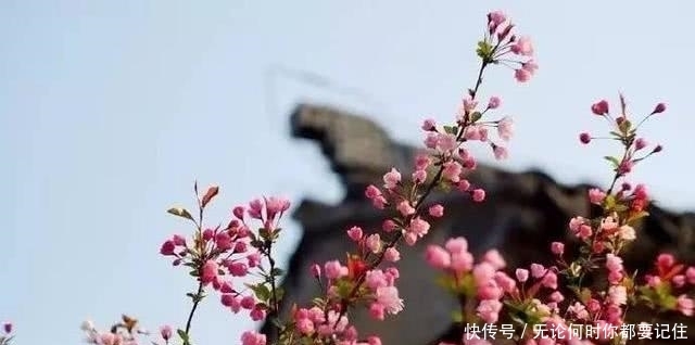 诗人|清代最狂的诗人,写下一首诗讽刺李白杜甫,最后两句还是千古名句