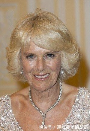 蛇形项链 卡米拉的蛇形项链20年前做情人时查尔斯送的,蛇蝎气质一目了然