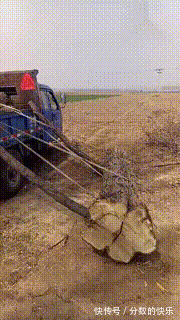 |搞笑GIF趣图:猪肉涨价太厉害,媳妇已经好几天都没买猪肉了