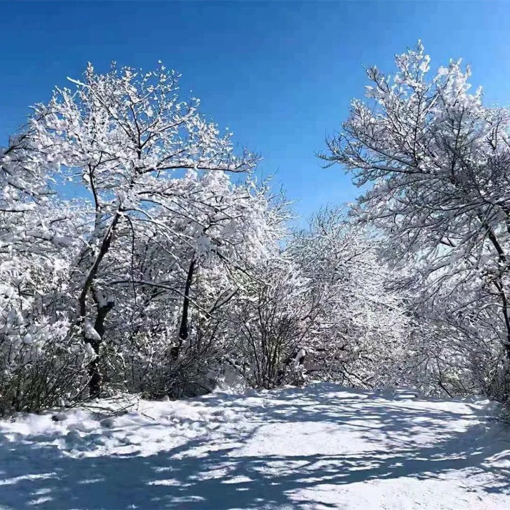 中年|冰天雪地看本溪之瑞雪兆丰年（1）