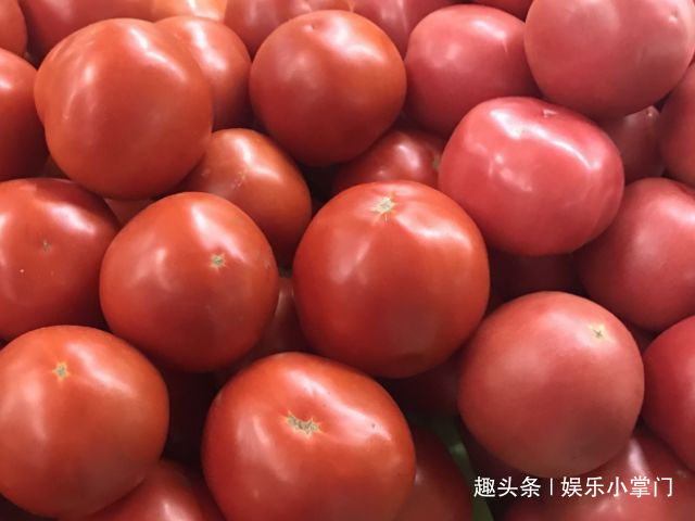 番茄红素|爱吃西红柿的要注意,西红柿不能和它一起煮,可别去自找麻烦