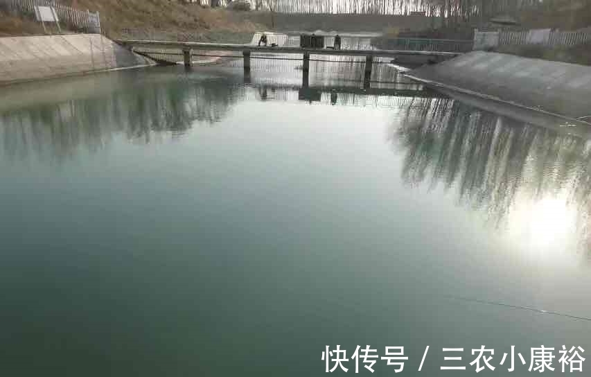 钓鱼|这里才是钓鱼的天堂