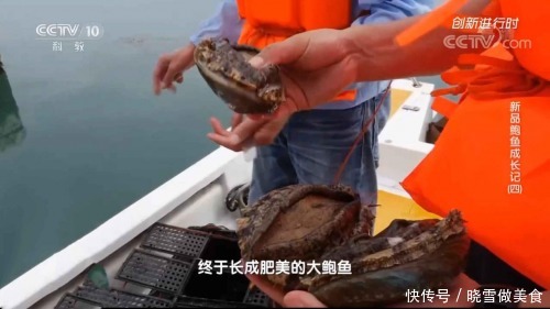 盛宴|溏心皇金鲍:二十分钟享受一场绝顶食材的味蕾盛宴!