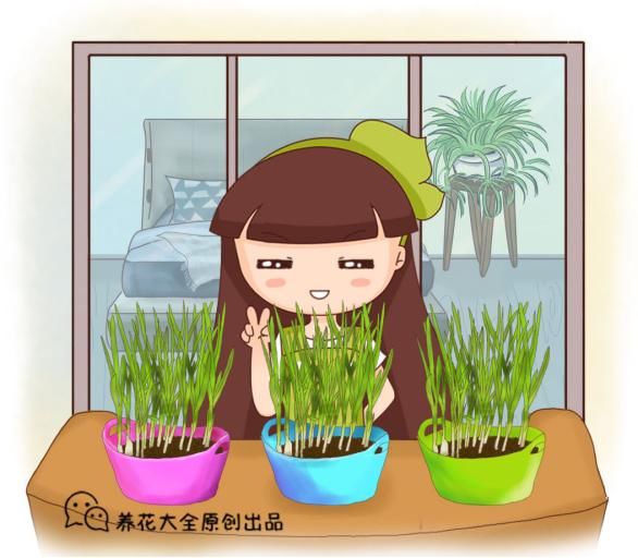 只要一个杯子 还你一个菜园 不花一分钱 快资讯 只要一个杯子 还你一个菜园 不花一分钱 快资讯