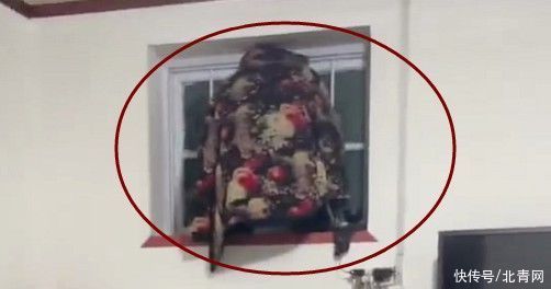笑岔气！青岛67岁老人玩捉迷藏，披上花棉袄飞檐走壁！最后藏到了这里…