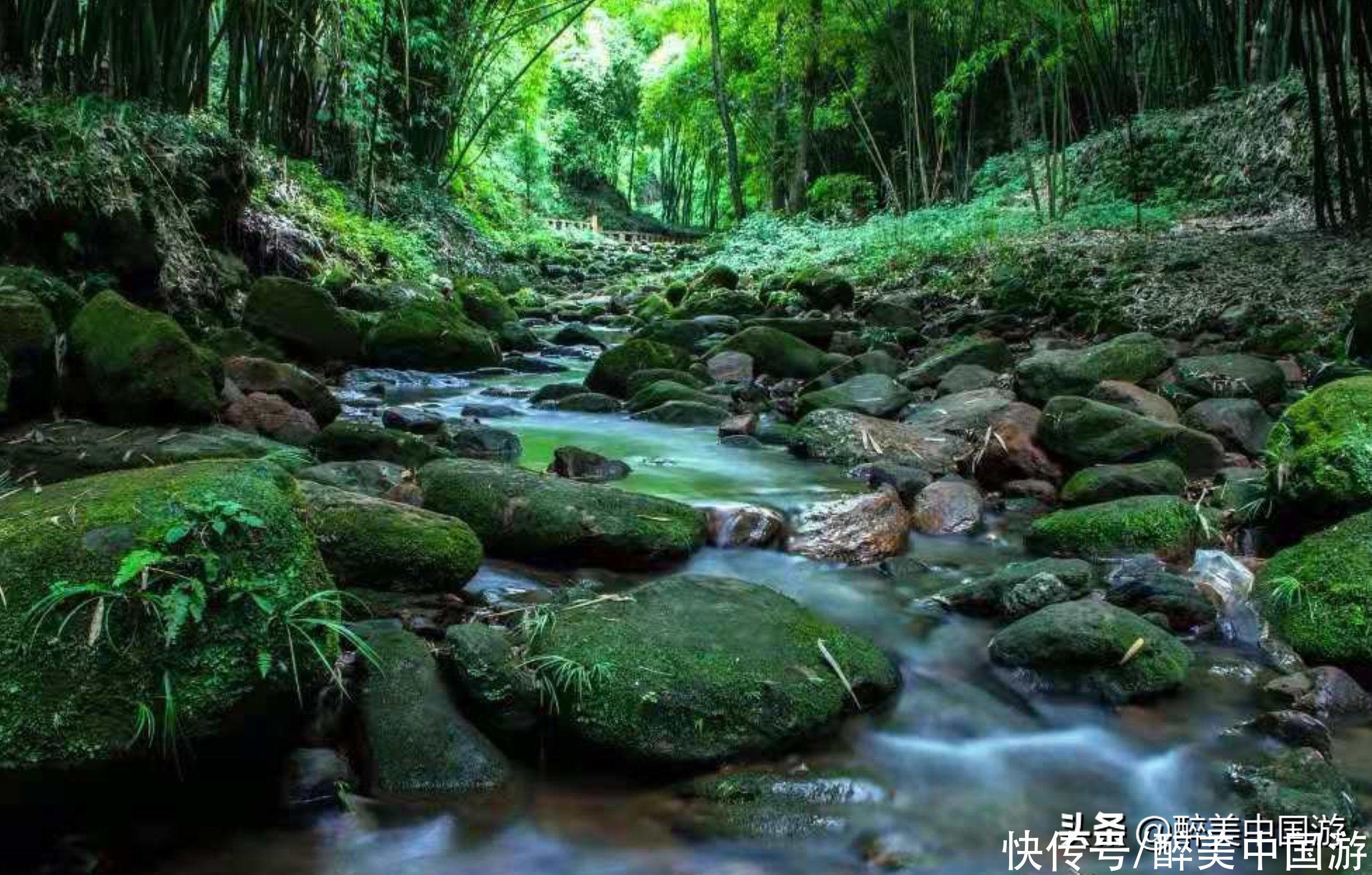 川西竹海景区|成都玻璃栈道景区有哪些？这里最具代表性，惊险刺激，有趣好玩