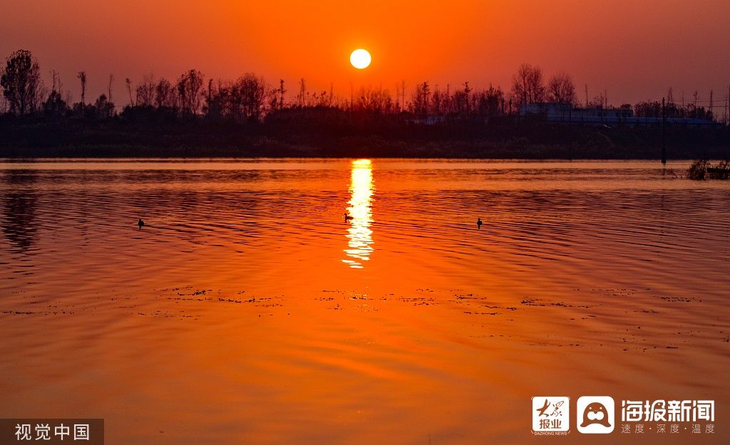 湿地|图看日照｜湿地夕阳红