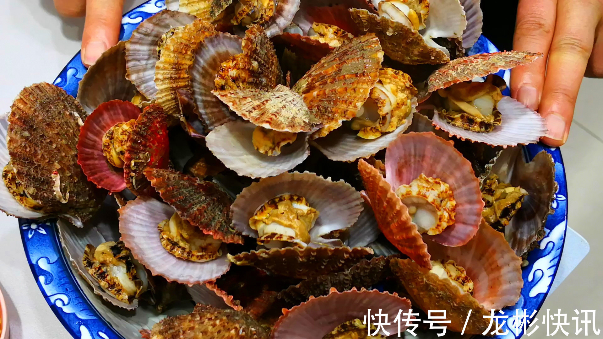 做扇贝时，最忌直接加水煮，教你正确做法，扇贝肉质鲜嫩、不回缩