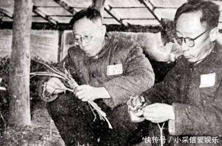 工作|郭沫若看溥仪没工作请他当助手,溥仪回答5个字,留下最后的尊严