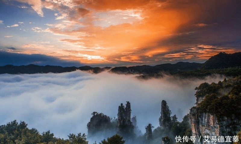 真正家风好的家庭,都明白这4句家训,孩子会越来越有出息