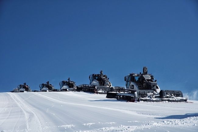 赛区|“雪游龙”“雪飞燕”和谐相融 北京冬奥会延庆赛区擦亮生态底色