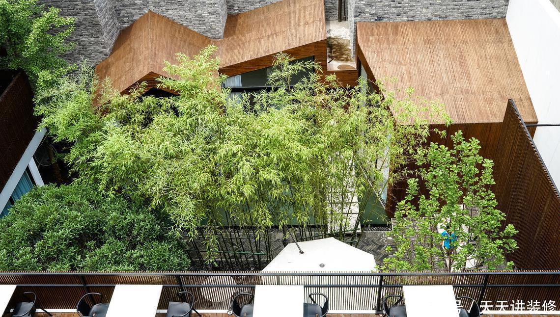 家中若有带院子的房子,建议栽种3种观赏树,小投入,大收获