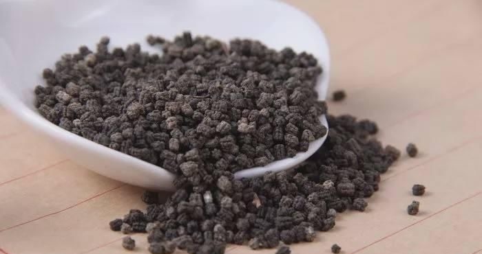 本草纲目|李时珍一生谨慎,却独赞一方治脑梗后遗偏瘫,值得研究