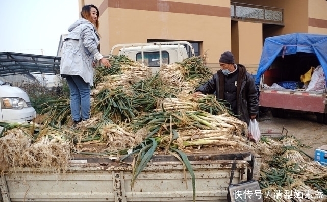 葱叶|大葱怕“动”不怕“冻”，保存大葱的2个好方法，放到过年都新鲜