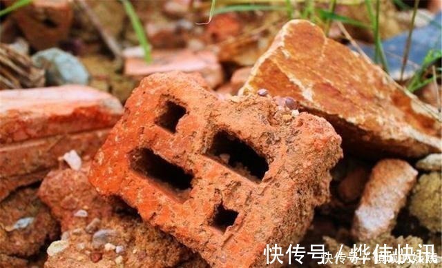 植料|工地边的“3种石料”没人要,却不知,都是栽花好料,养啥花都旺