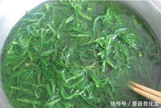 三高|农村这种野菜,市场上已达到了15元一斤,对“三高”有显著疗效