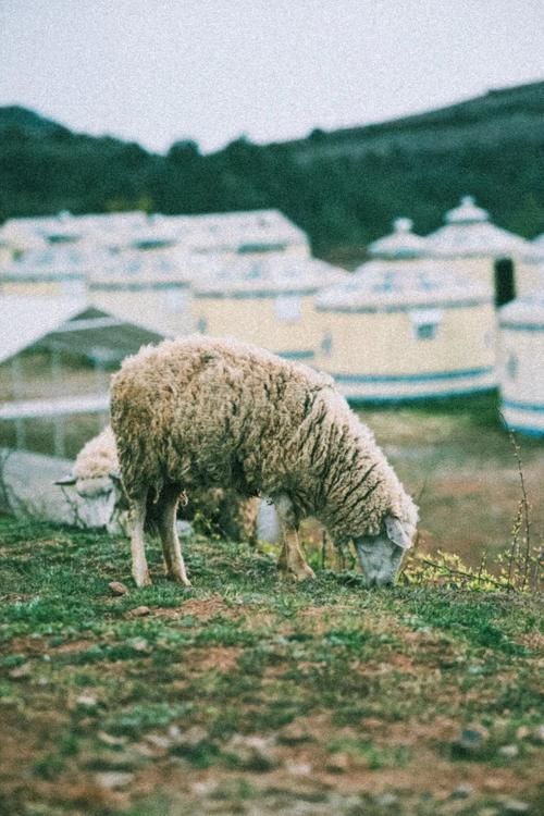 言育育儿:当孩子跟你闹脾气的时候,你该怎么做?