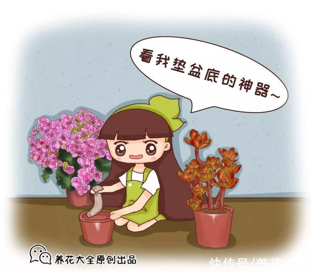 换盆用它垫盆底，养花效果非常好，花卉越长越旺盛