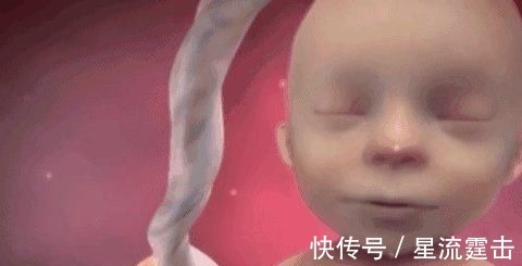 胎儿|胎儿每天在妈妈肚子里忙什么?除了吃和睡,他们有好多事情要忙!