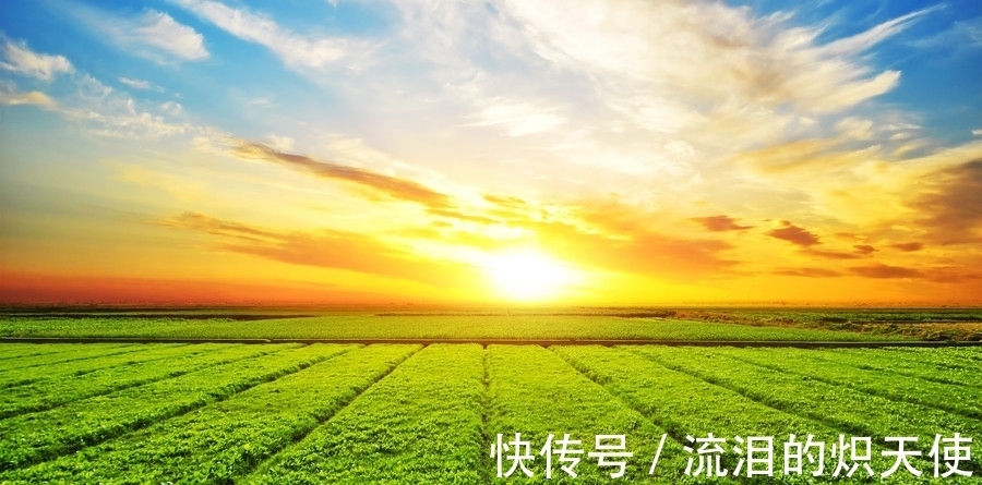 有滋有味|进入8月,好运一波接一波,钱财无忧,日子有滋有味的生肖