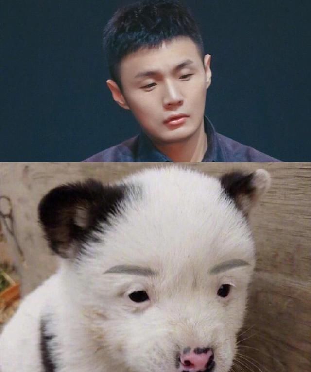 二黄子|那些神级还原的cosplay也太像了吧,看到最后一个,直接笑出腹肌