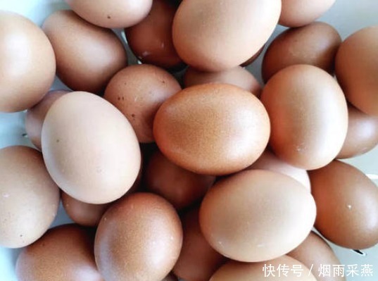 买鸡蛋,白壳比红壳好?养殖场大婶告诉你,牢记2点不被忽悠