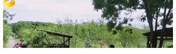 向往生活|张艺兴发长文告别《向往》，与张子枫彭昱畅无任何互动，原因现实