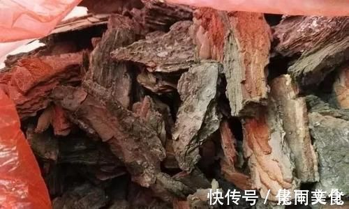 没人要的小东西,可是养花宝贝,捡一点掺盆里,全年不用施肥!