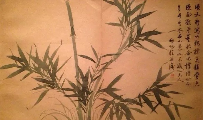 画竹@启功画竹大全,清秀至极!