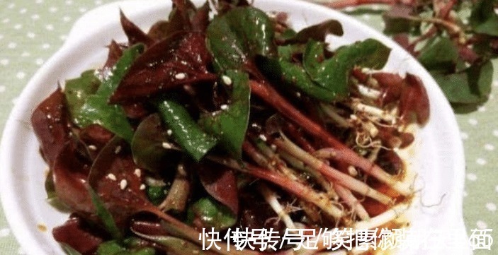 苦瓜|蔬菜中公认最难吃的七种，如果全吃过的，只能说很服气了