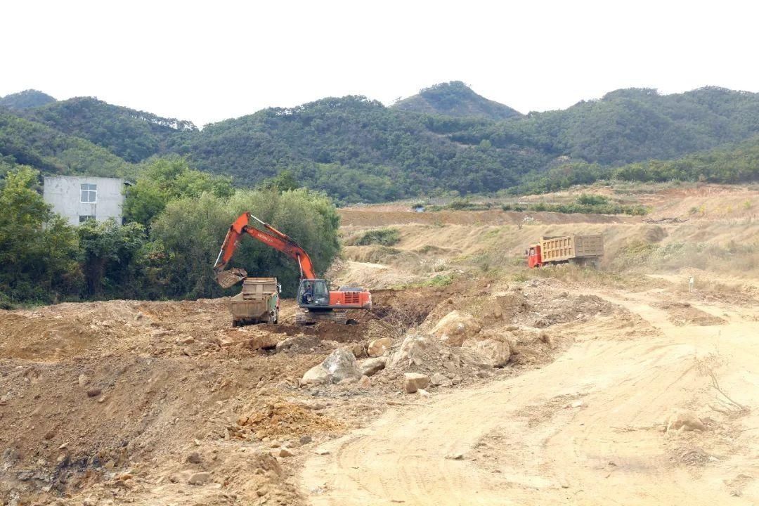 翅膀|红樱桃为乡村振兴插上“金翅膀”！