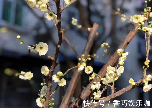 降压药|骗术了得,我老师都上当了,医生:揭秘高血压疾病的8大骗局