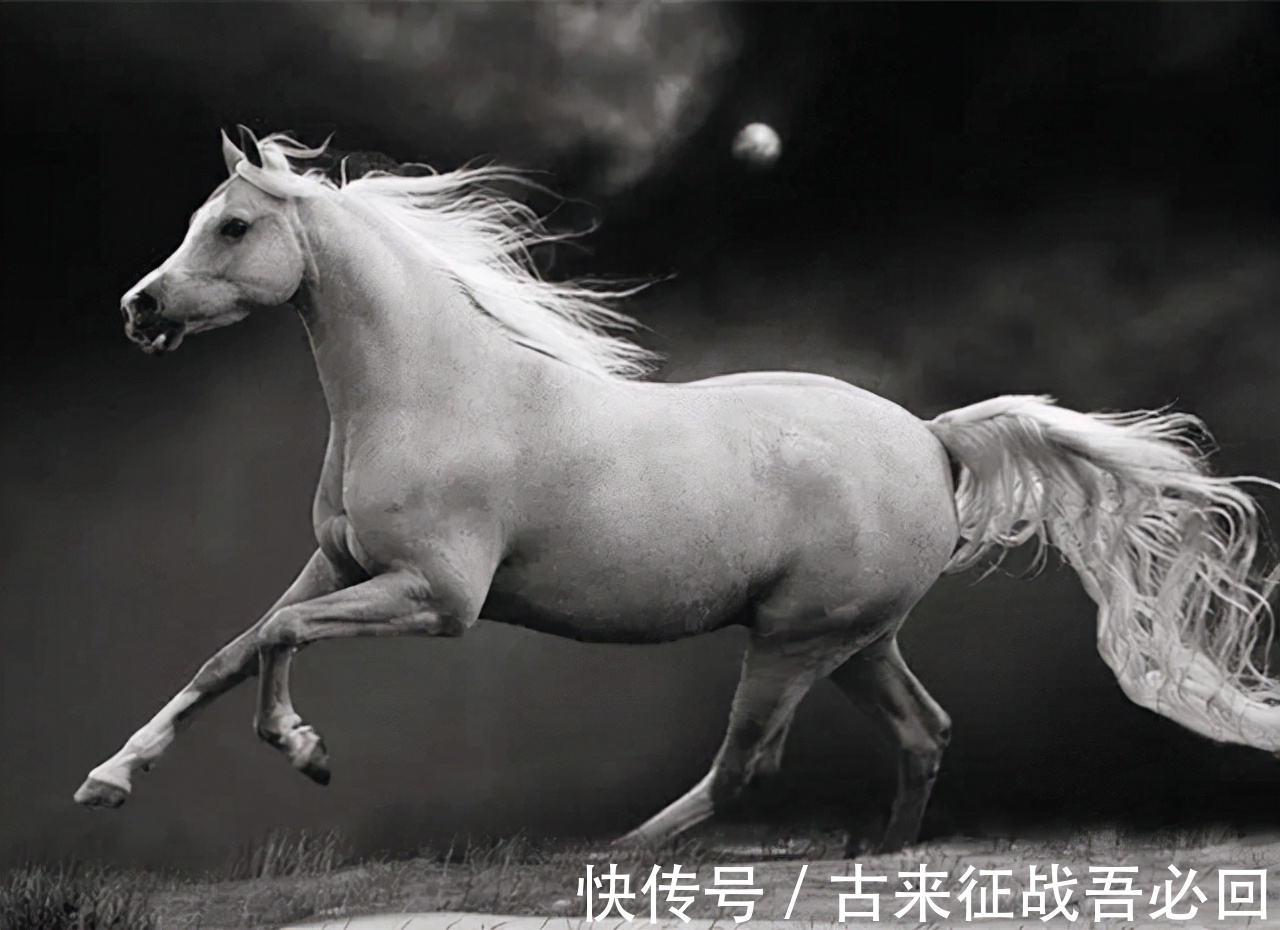 北市$朱熹问学生:为何叫“买东西”不是“买南北”?10岁小孩一语道破