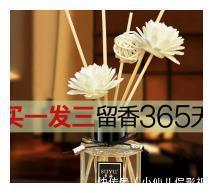 淘宝月销|宅家37天,入手了7件相见恨晚的家居好物,分分钟提升幸福感!