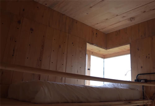 种菜|他用40棵松树,在荒山野林建起小屋,屋顶种菜生活自给自足