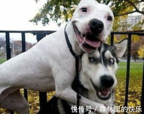 |笑话段子:前女友打电话过来,居然是为了……