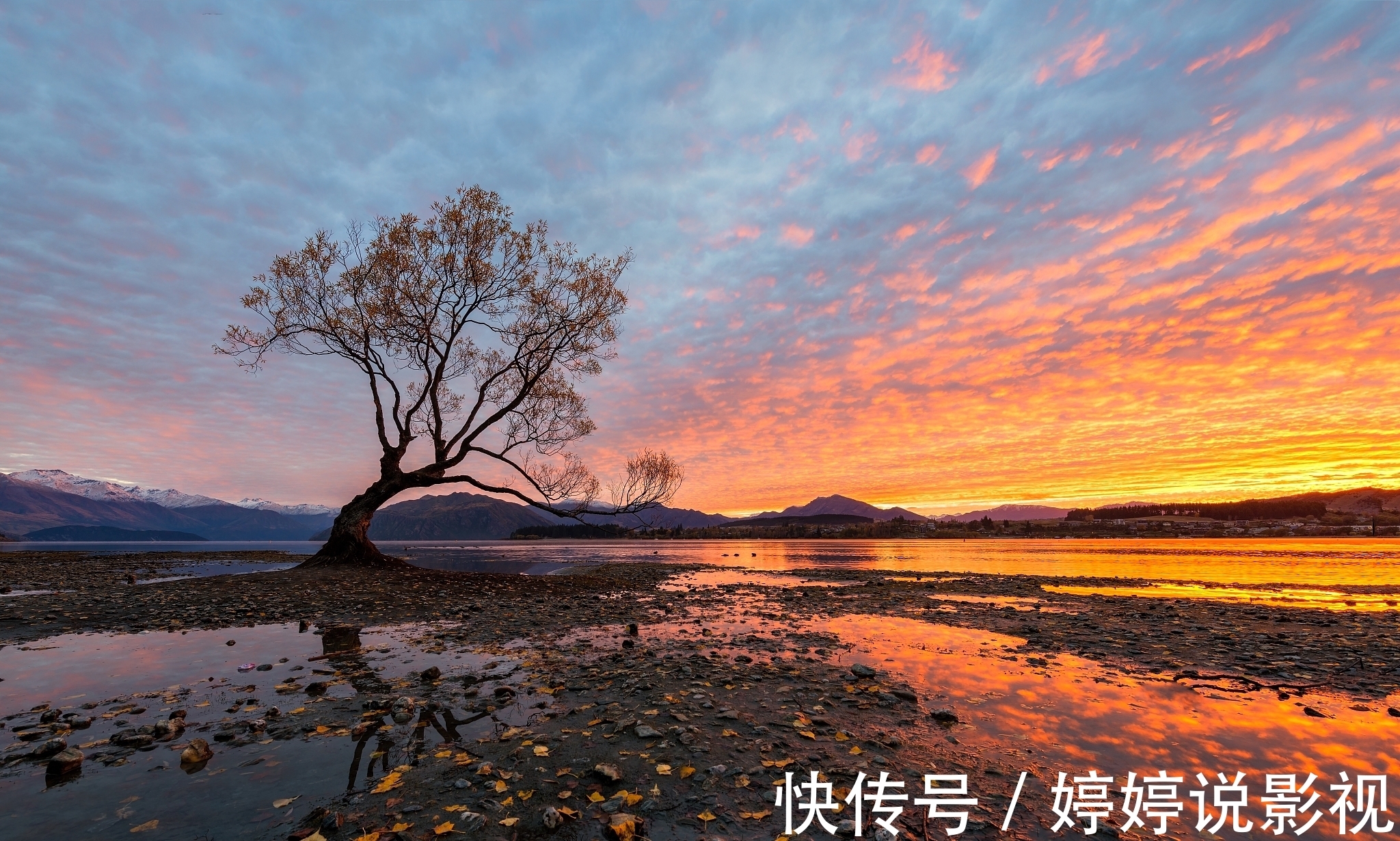 银川@古诗七律:敢让冰川辉秀色,争教春日赛奇葩