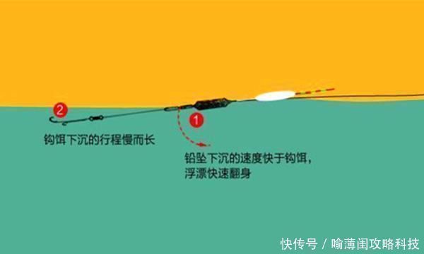 招数|钓鱼必杀技久坐无鱼咬钩,试试这些狠招数,咬钩量翻几倍