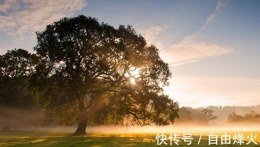 成绩|熬到了2月底，诸事顺畅，迎来高峰期，成绩十分出色的三大星座