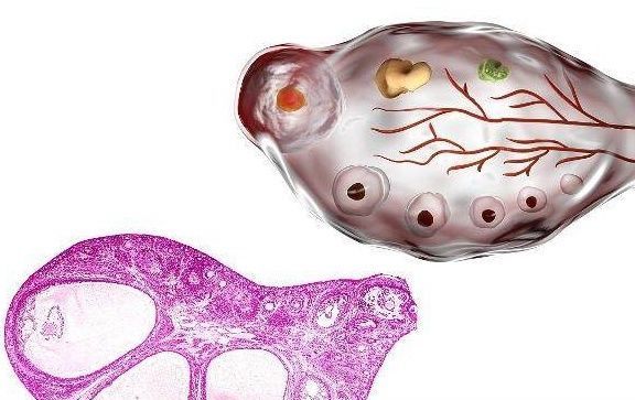 受孕|为什么有的女人一“碰”就怀孕?她们一般会有这4个“共性”!