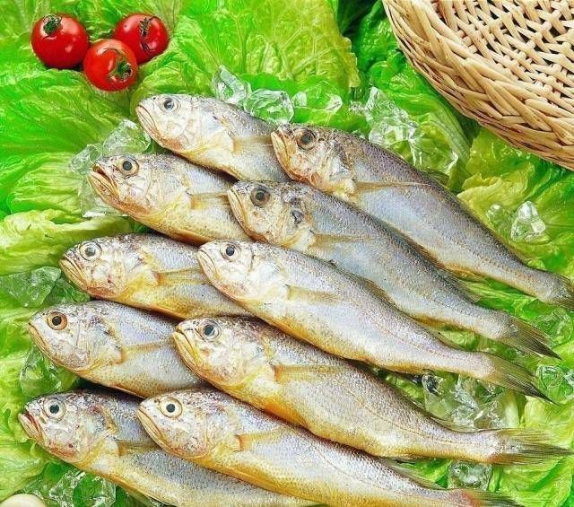 大脑|孩子一定要多吃，有益智力发育，对孩子大脑特别好，并且很省事