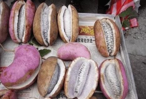 榴莲|农村这种野果,比榴莲还好吃,20元1斤的稀罕水果,你吃过吗?